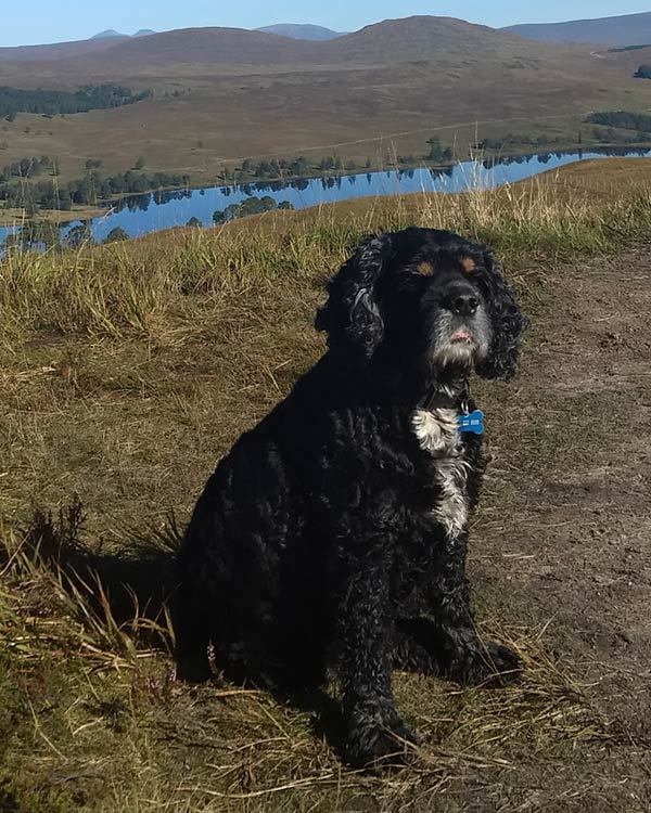 Snoopy Dog near Loch Tulla